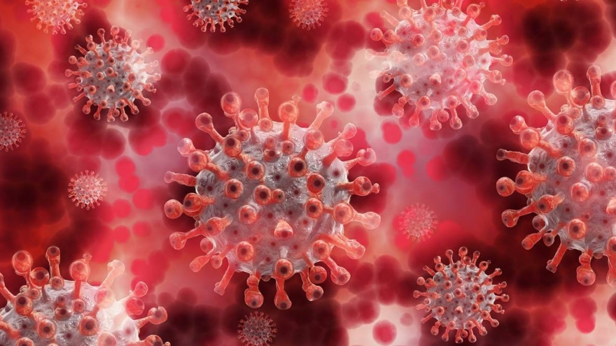 Vietnam detects new hybrid strain of SARS-CoV-2 virus